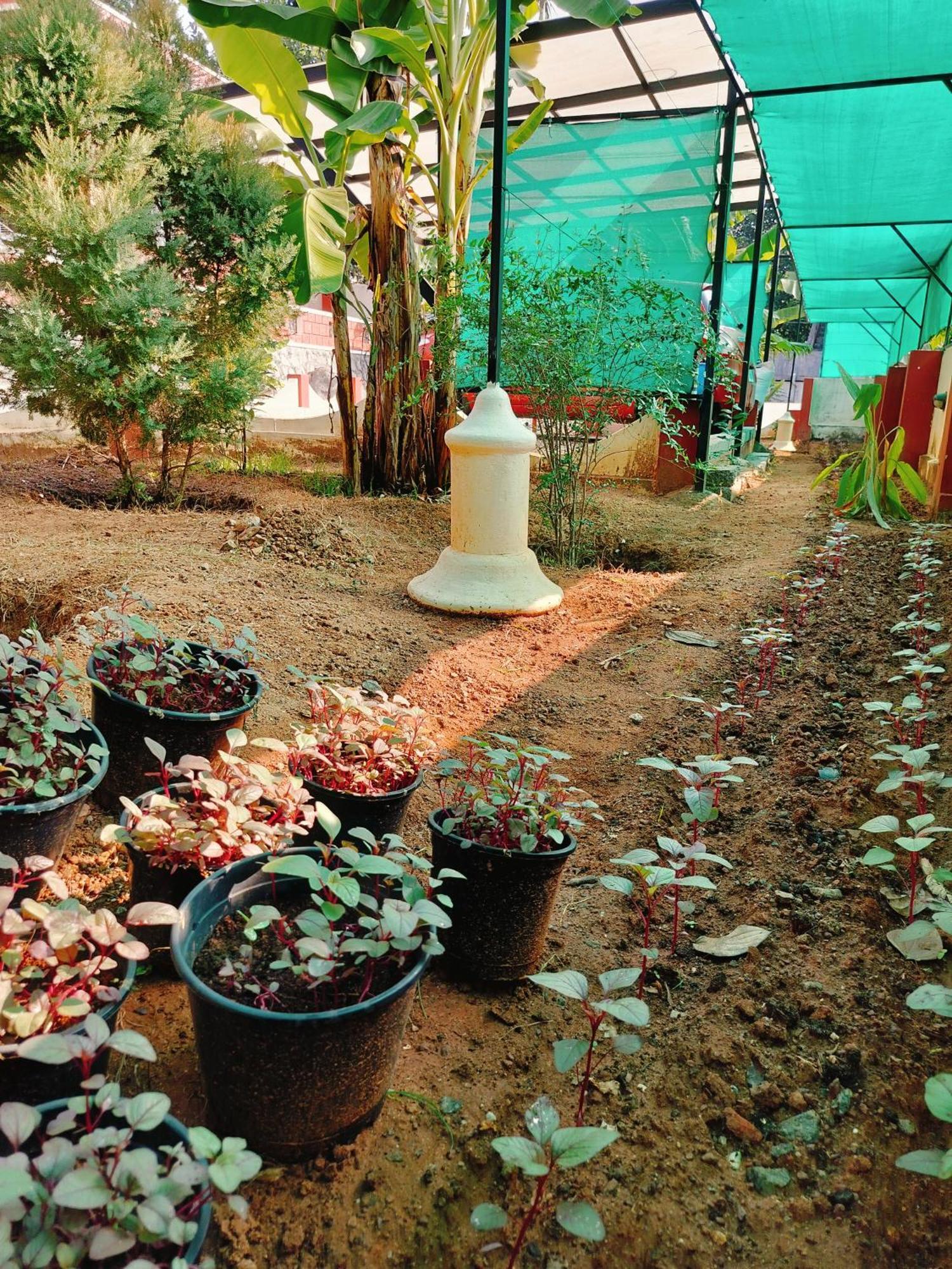 The Ixora - A Boutique Homestay Varkala Buitenkant foto